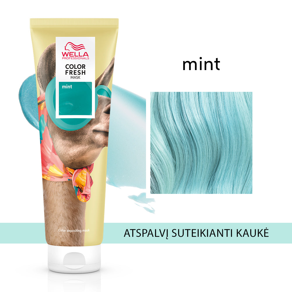 COLOR FRESH Mask Mint - Atspalvį suteikianti kaukė  150ml