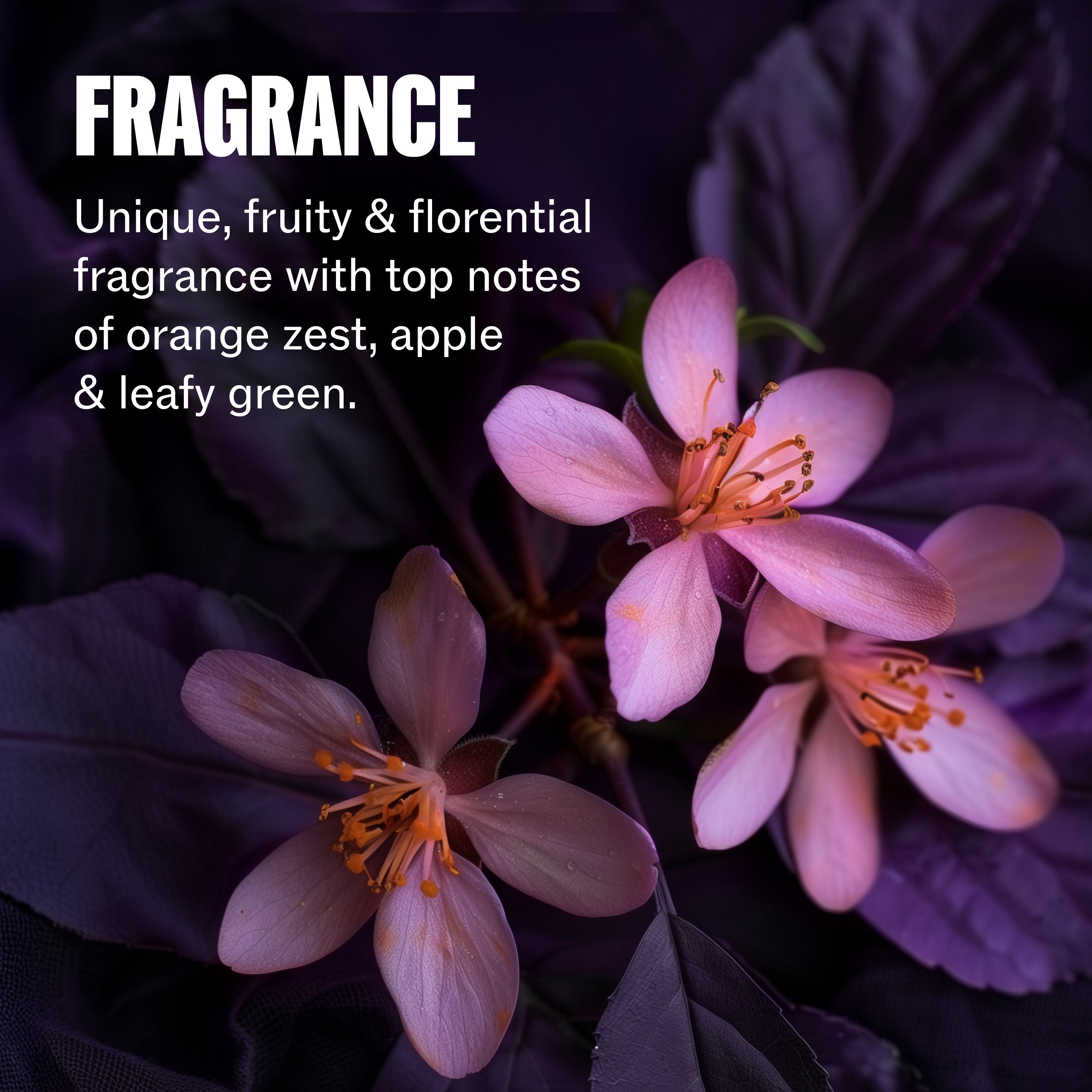 ULTIMATE COLOR Shampoo – Dažytų plaukų šampūnas be sulfatų STEP 1, 100 ml